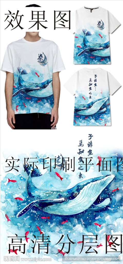 蓝鲸鱼 t恤 班服图案设计