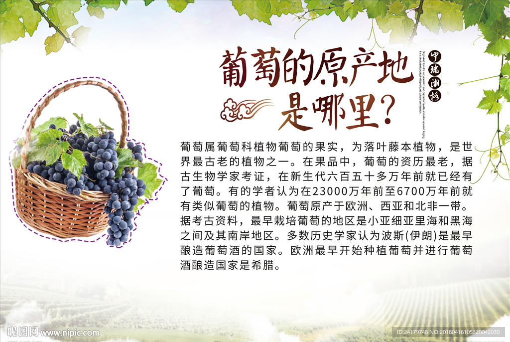 葡萄的原产地介绍科普海报