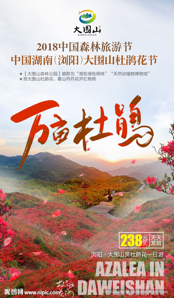 大围山杜鹃花节广告