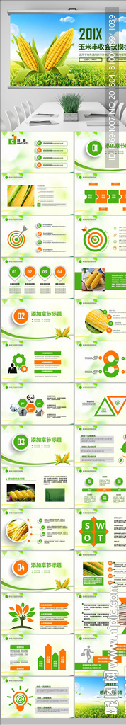 绿色农业产品农场水稻玉米小麦