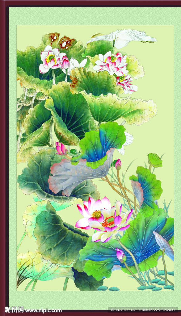 荷花图