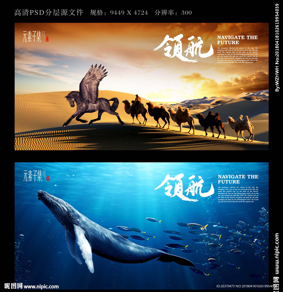 引领—飞马、鲸
