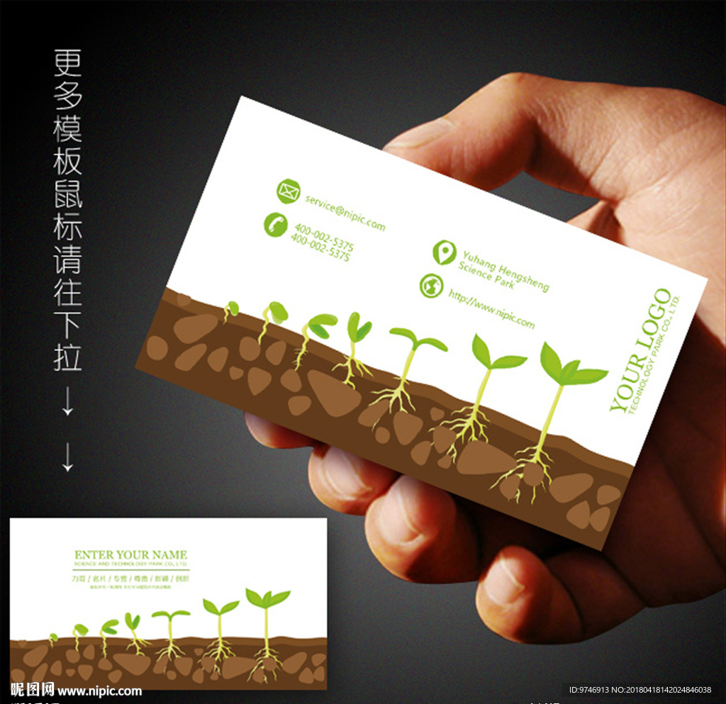 种子名片