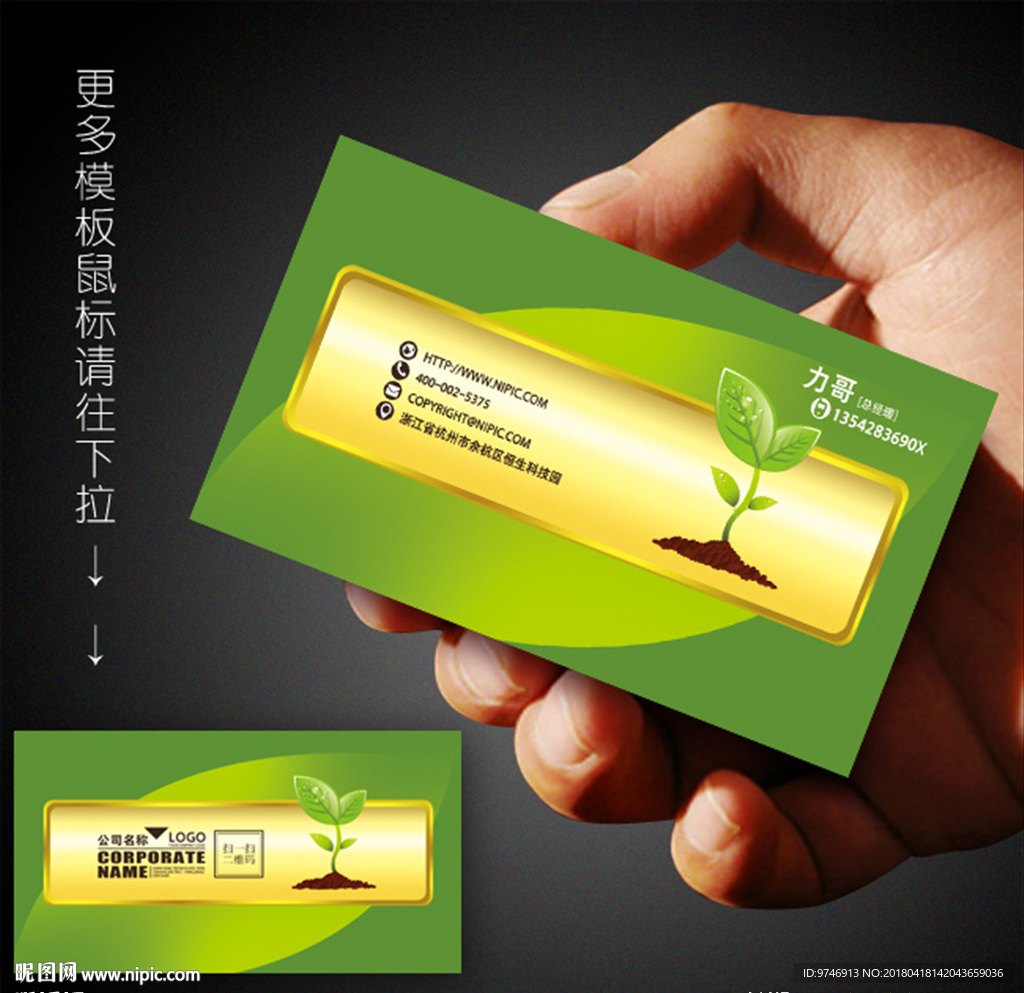 种子名片