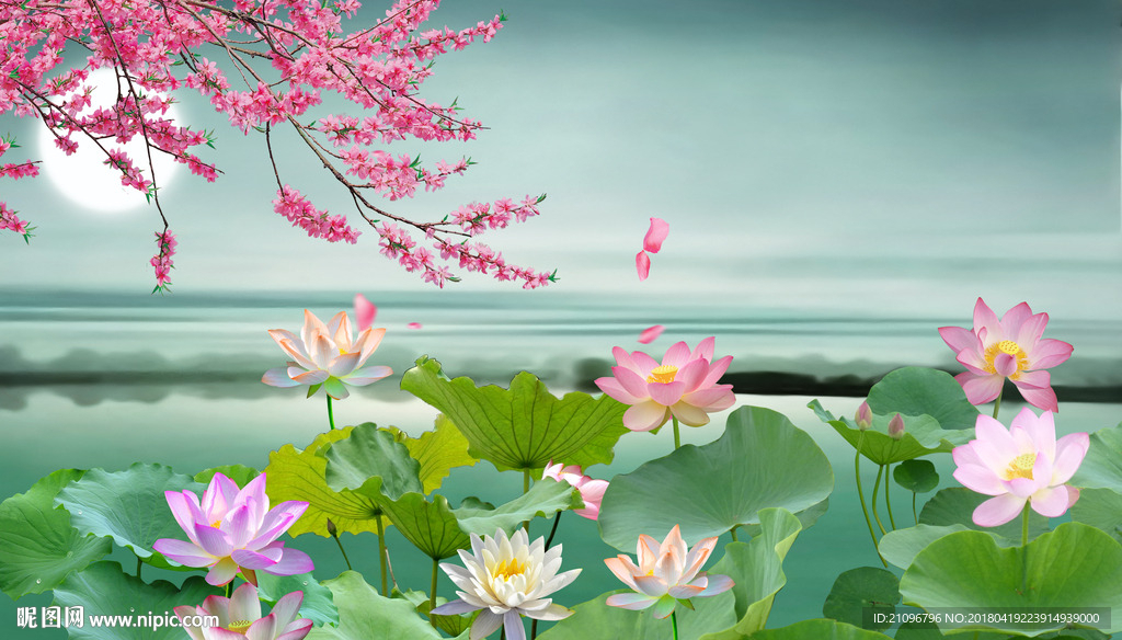 中式荷花背景墙