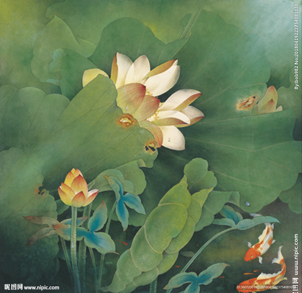 年年有余 荷花 鲤鱼