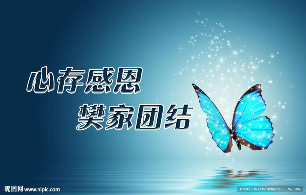 蝴蝶海报广告图片