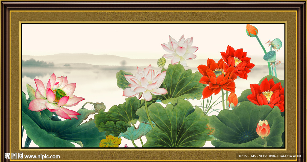 荷花图