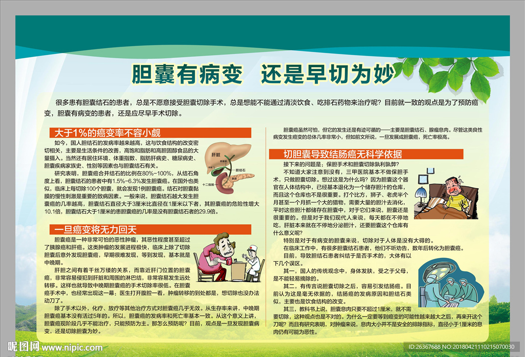 胆囊结石知识