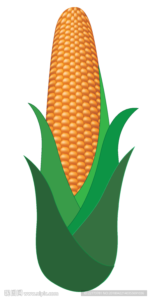 卡通矢量玉米