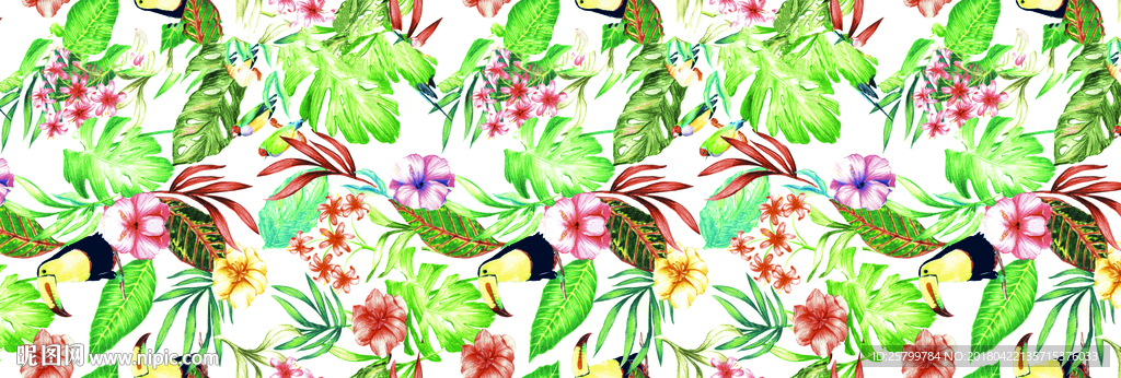 热带植物鸟