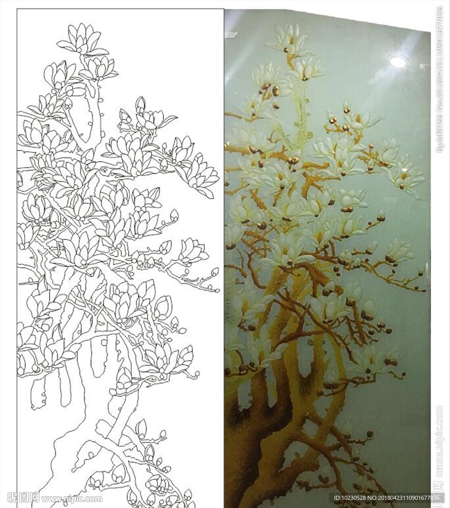 玉兰花