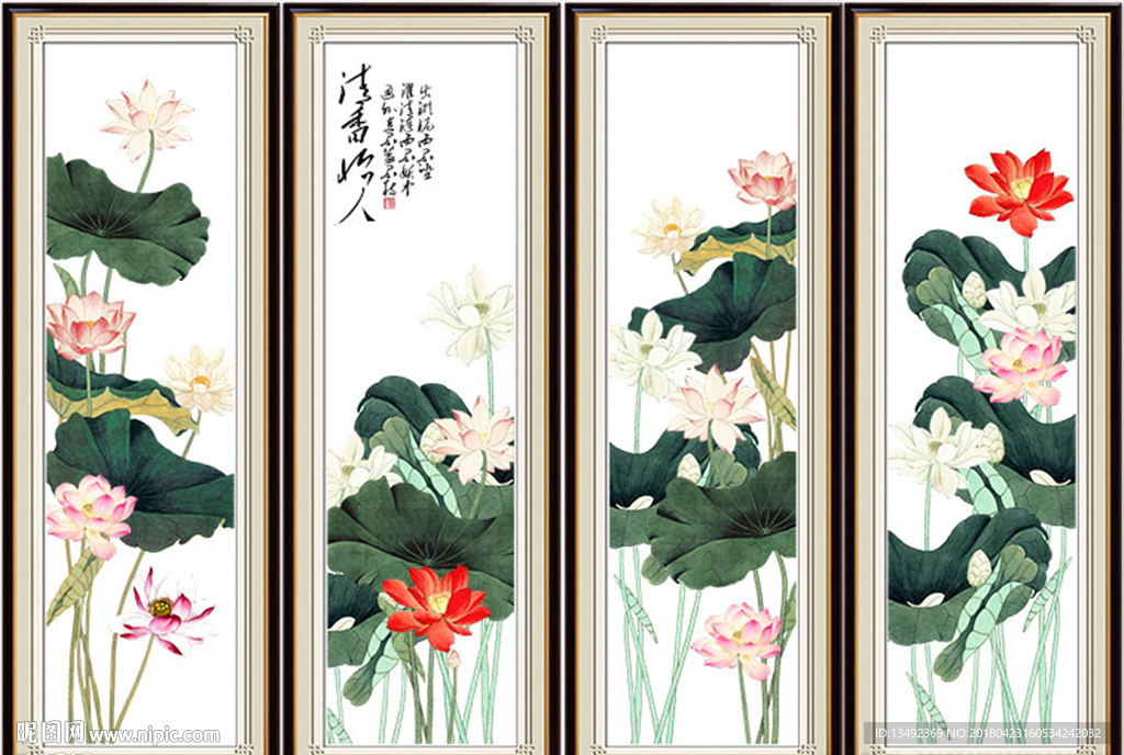 高清荷花