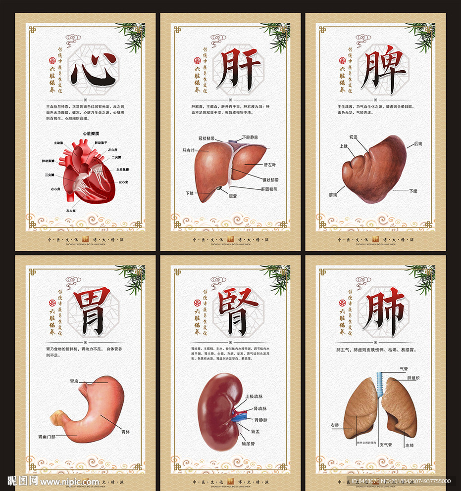 六脏保养
