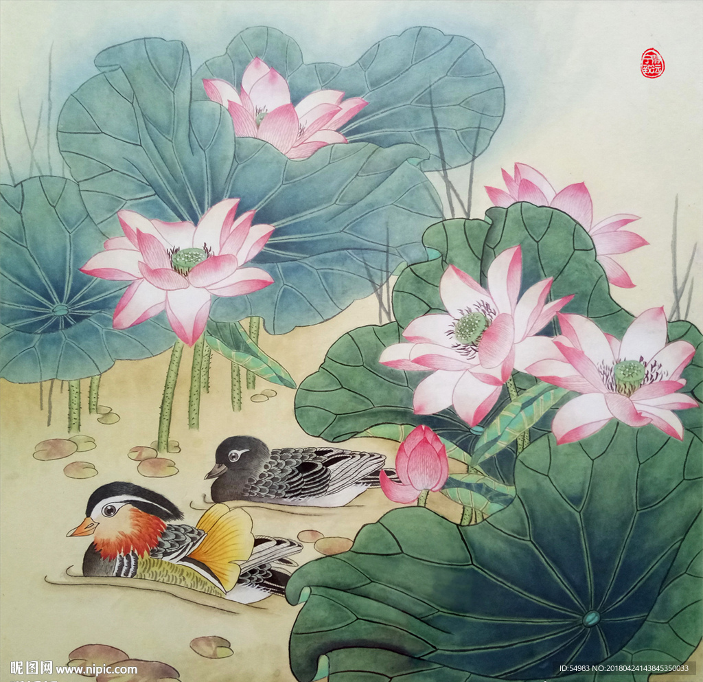 鸳鸯荷花工笔画