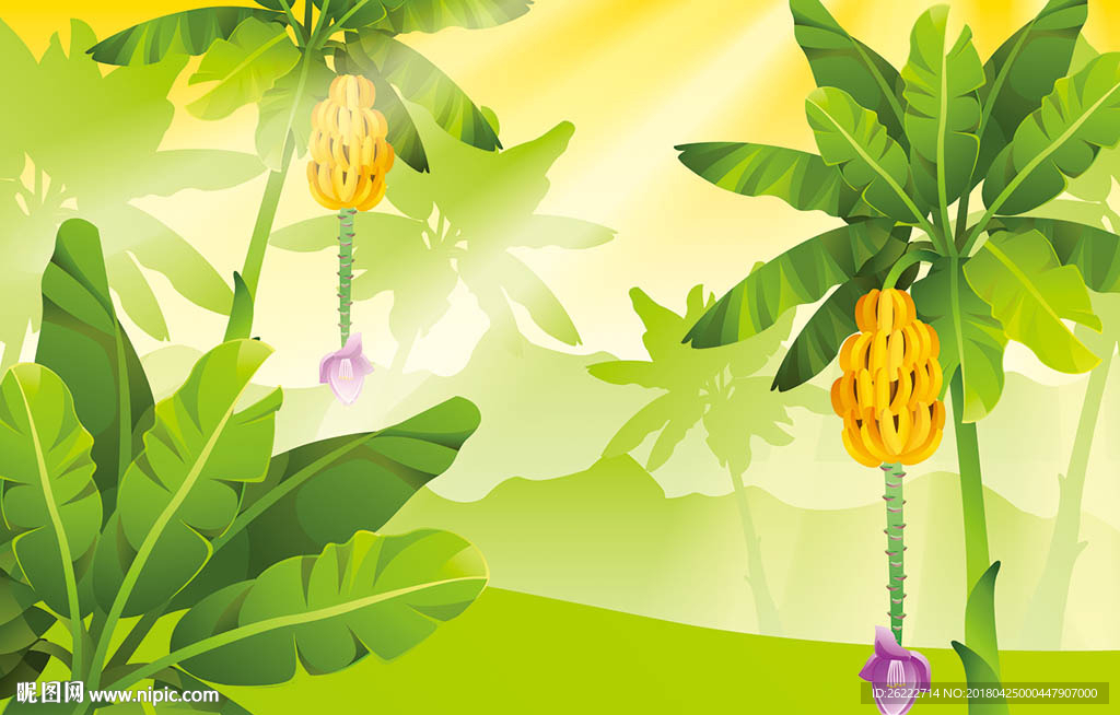 香蕉树林矢量插画设计