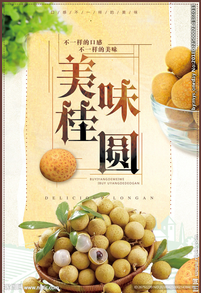 龙眼 桂圆 桂圆干 桂圆肉