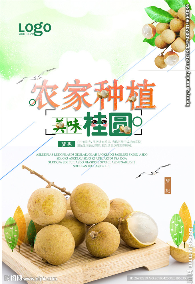 龙眼 桂圆 桂圆干 桂圆肉