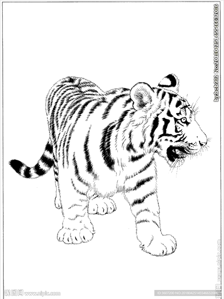 虎年主题线描画图片