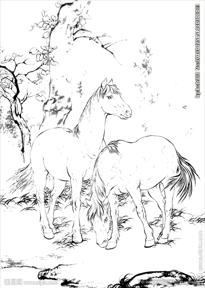 骏马线描 骏马白描 骏马素描