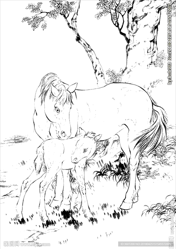 骏马线描 骏马白描 骏马素描