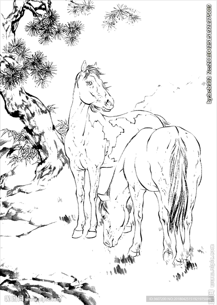骏马线描 骏马白描 骏马素描