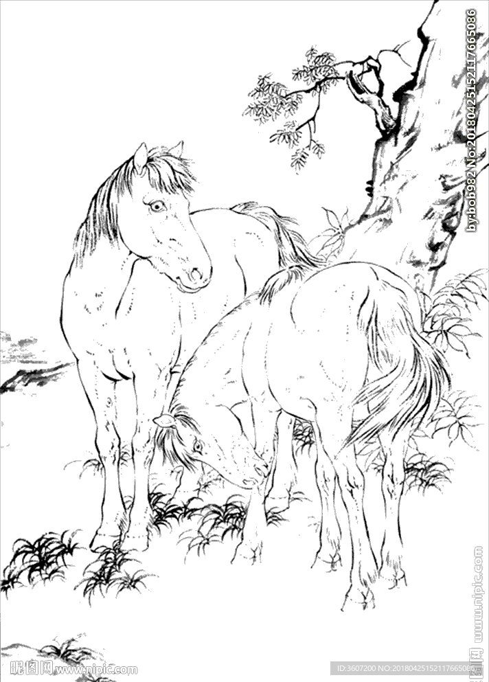 骏马线描 骏马白描 骏马素描