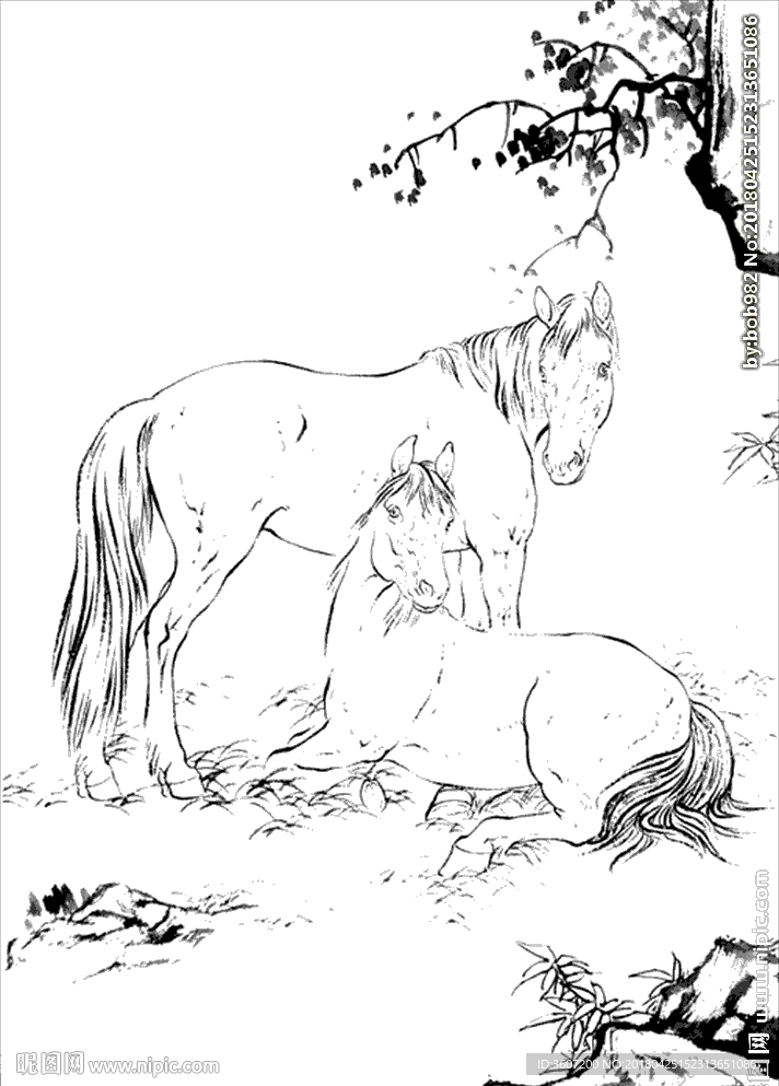 骏马线描 骏马白描 骏马素描