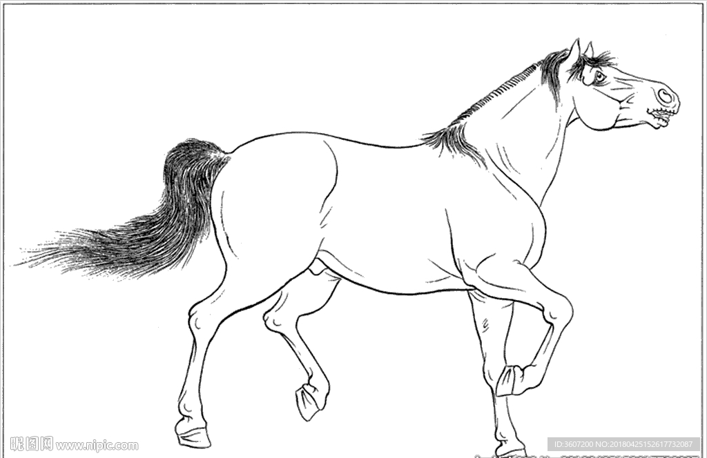 骏马线描 骏马白描 骏马素描