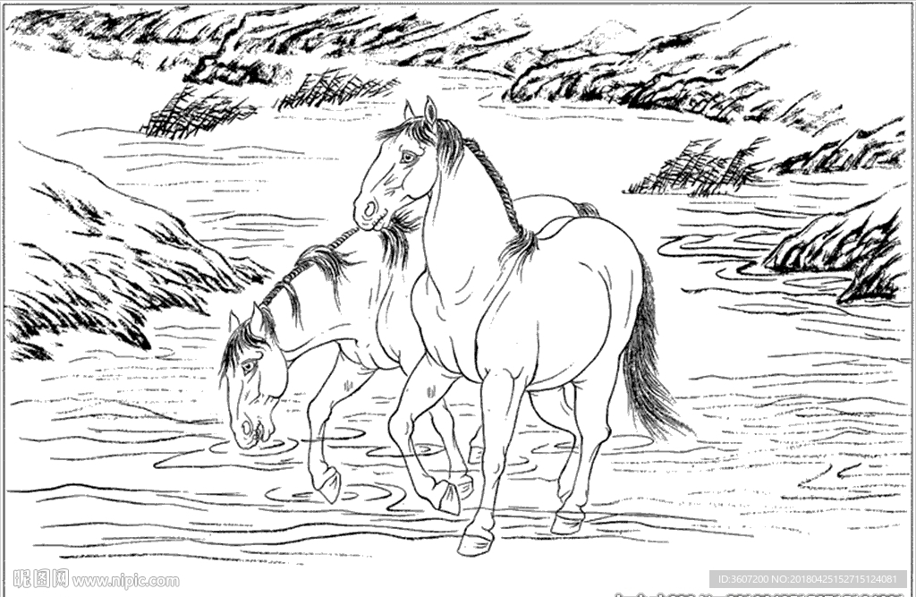 骏马线描 骏马白描 骏马素描