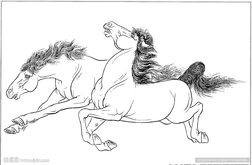 骏马线描 骏马白描 骏马素描