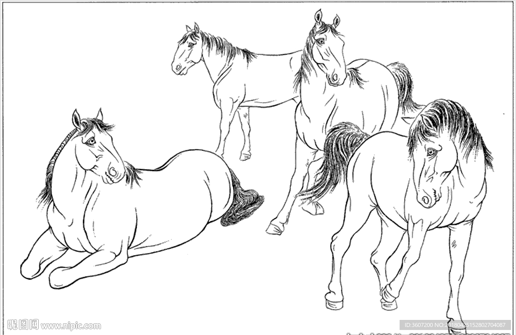 骏马线描 骏马白描 骏马素描
