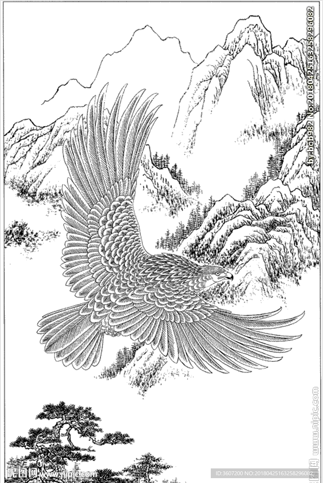 雄鹰线描 雄鹰白描 雄鹰素描