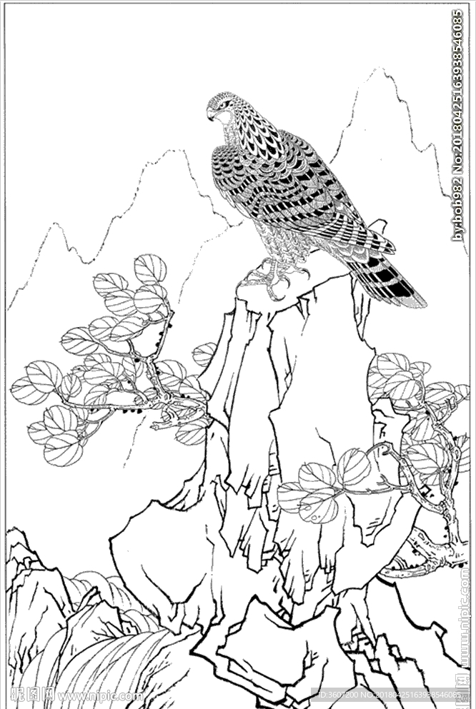 雄鹰线描 雄鹰白描 雄鹰素描