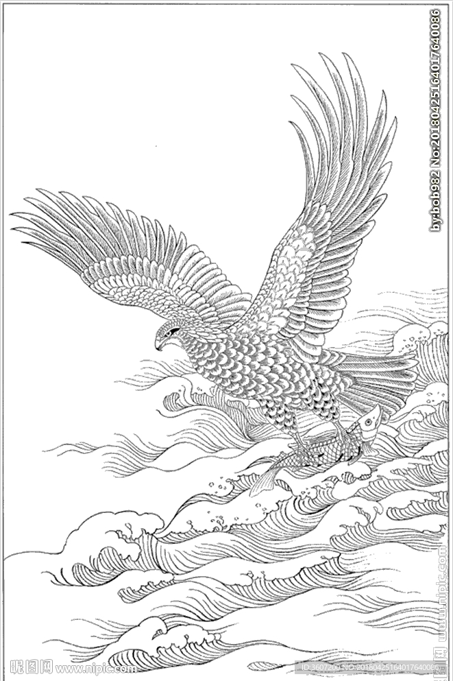 雄鹰线描 雄鹰白描 雄鹰素描
