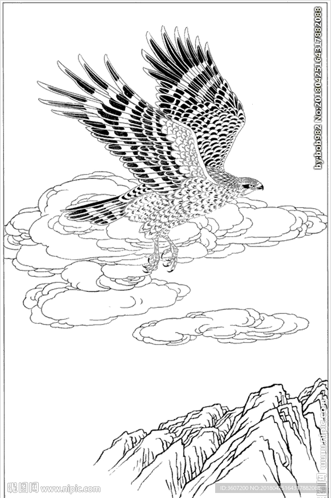 雄鹰线描 雄鹰白描 雄鹰素描
