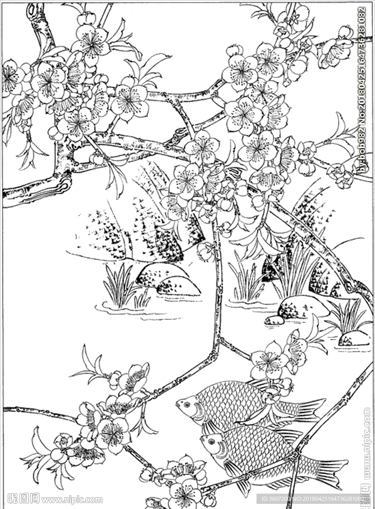 连年有余 鲤鱼线描 金鱼线描