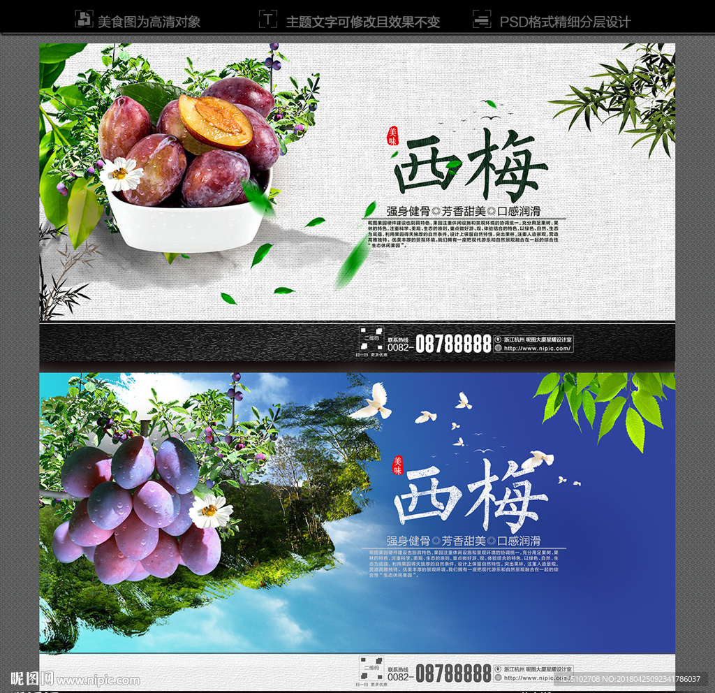 西梅