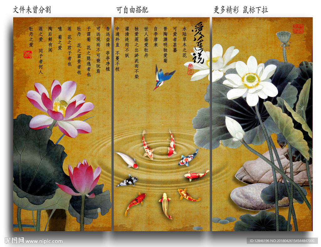 国画荷花