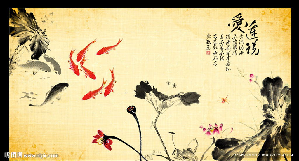 荷花