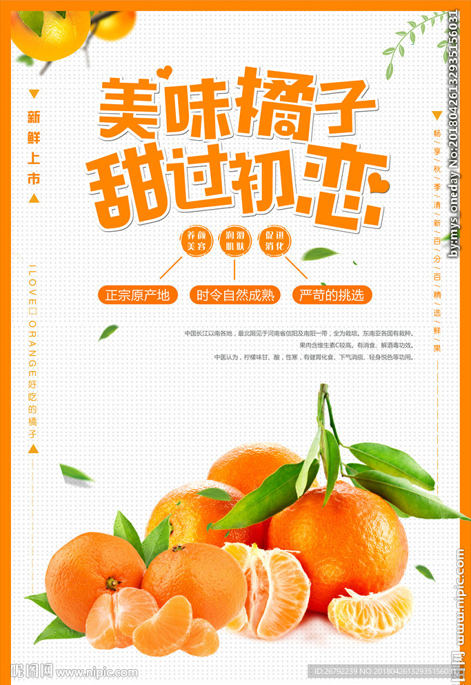 橘子海报 柑橘海报 水果橙子