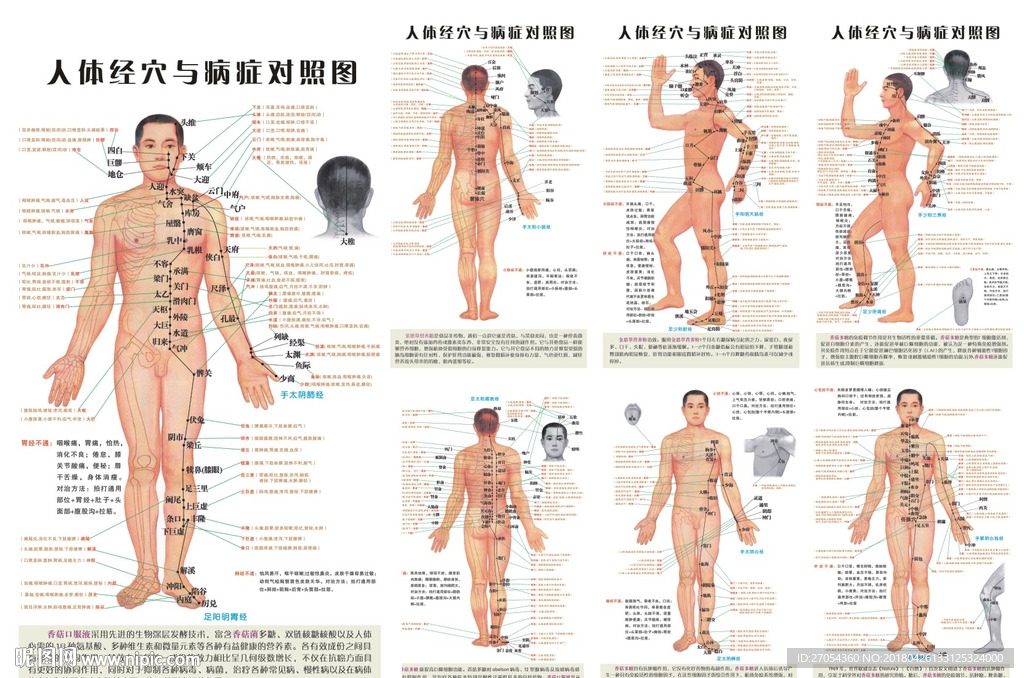 中医穴位经络图解表