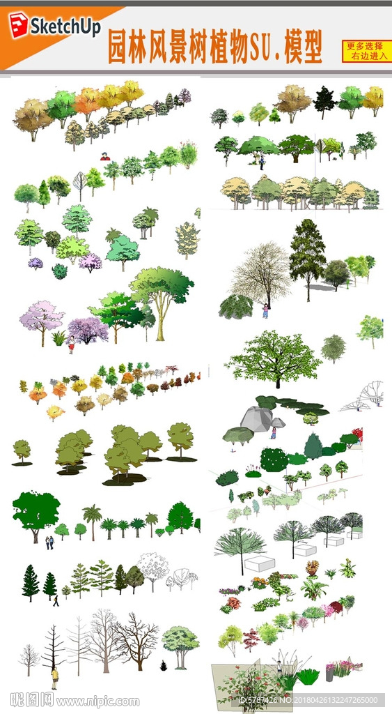 2D树木模型