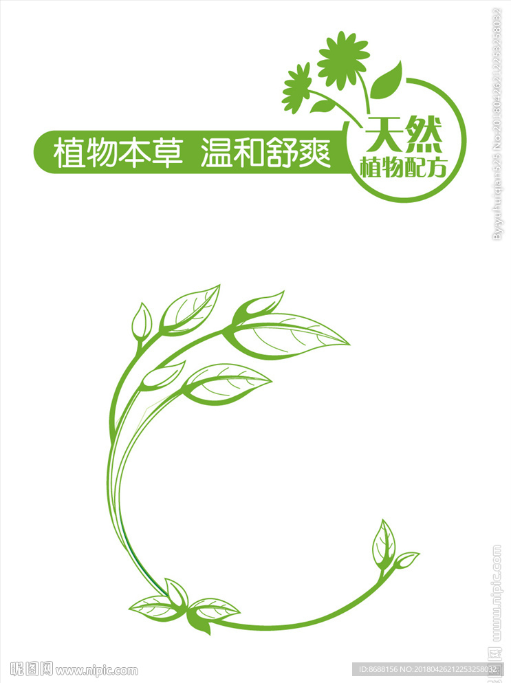 绿色植物