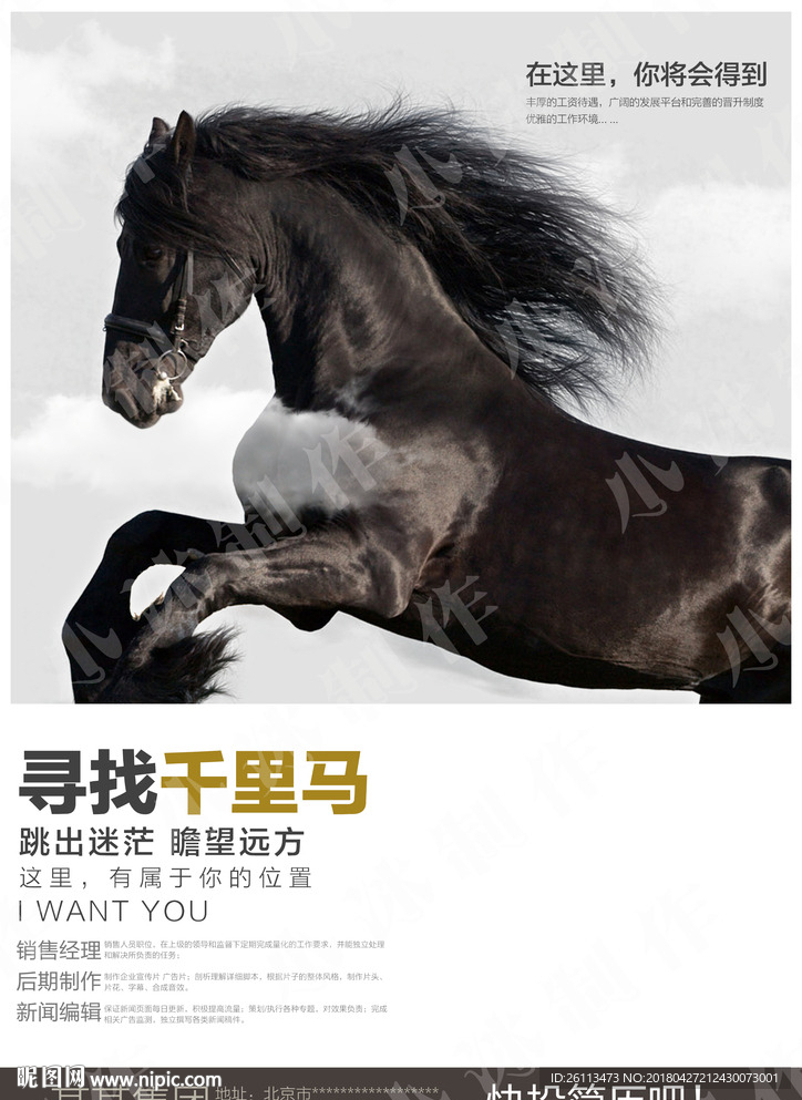 招聘 人才 广告 海报 设计