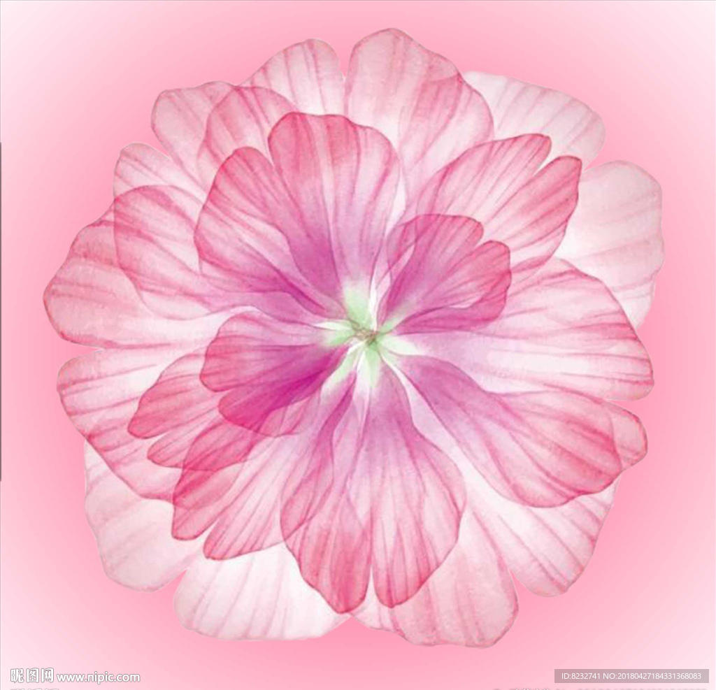 粉色花朵 水墨花朵 樱花 花卉