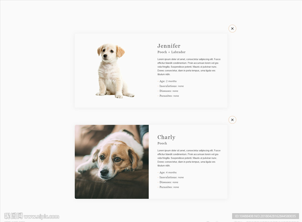 网页 banner web 网