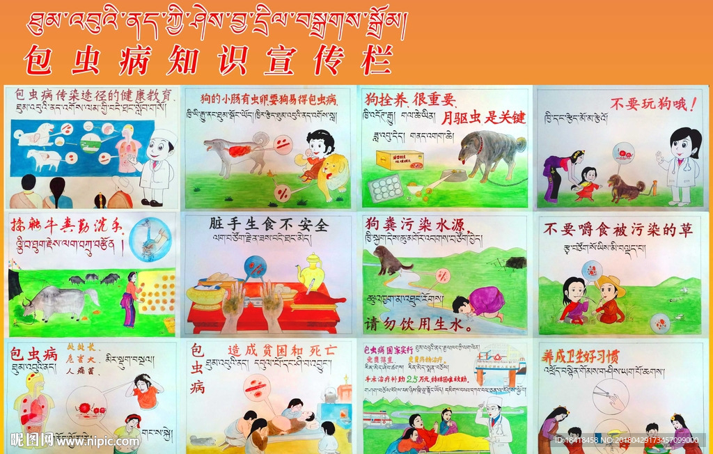 包虫病宣传漫画