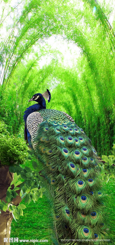 3D立体竹林孔雀玄关