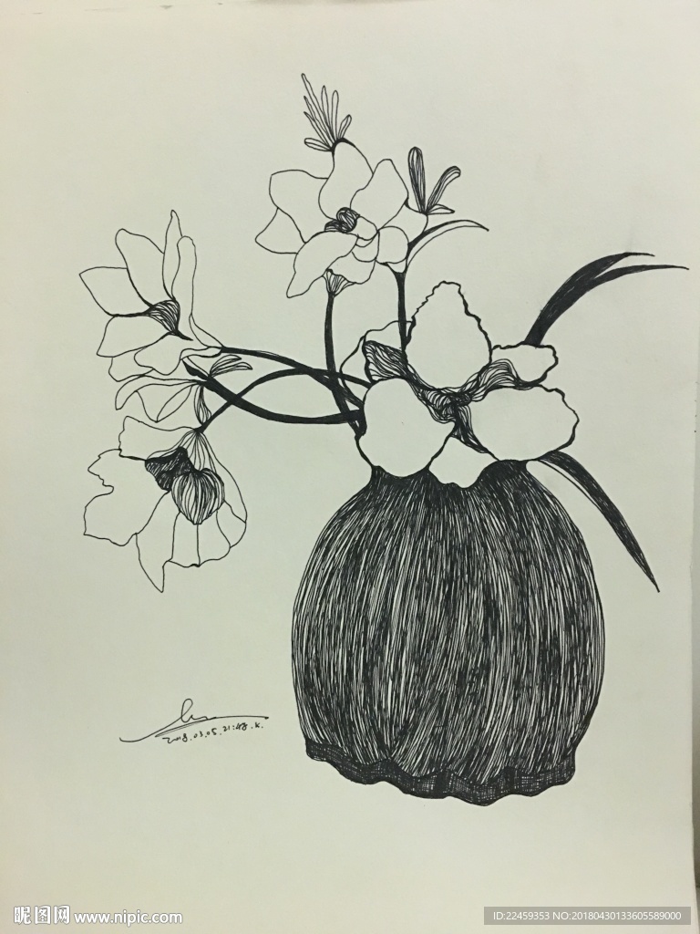 花绘素描  花插图